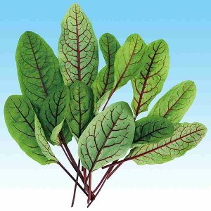 xr[[t tq@ ̎@ bh\@ 1dl