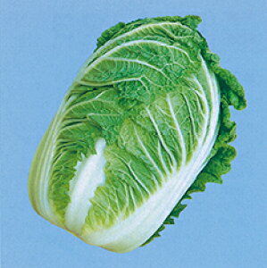 ؎q@ ̎@ ߂ݓ񍆁@ 20ml