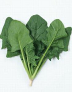 ق񑐎q TJ^̃^l WXeBX M3