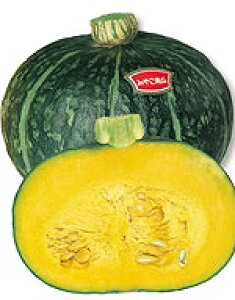 J{`q TJ^̃^l ݂₱Z 20ml