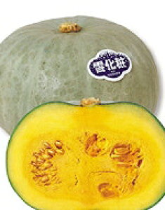 J{`q TJ^̃^l ቻϓZ 500