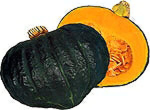 J{`q JlRc イEX Z 100