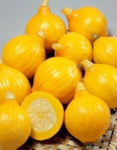 J{`q TJ^̃^l tbVڂ RL[ 