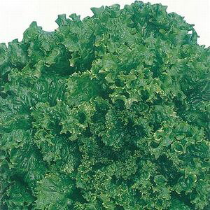 [t^Xq lA }m LR[g5000