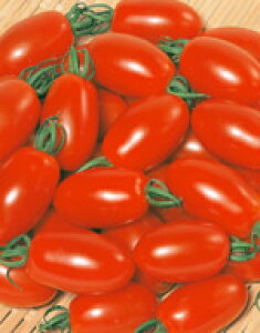 ~jg}gq TJ^̃^l ACR ybg200