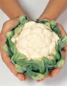 ~jJt[q TJ^̃^l i݂j2000