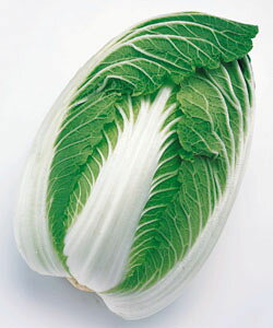 ؎q ^LCc o ybgq150