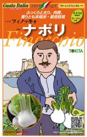 イタリア野菜種子 トキタ種苗 フィノッキオ ナポリ 小袋
