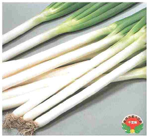 {lMq TJ^̃^l Đ4 1dl