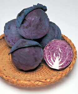 bhLxcq ^LCc lIr[ 2000