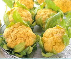 ~jJt[q TJ^̃^l IWi݂j 2000