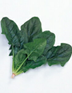 ق񑐎q TJ^̃^l vOX M3