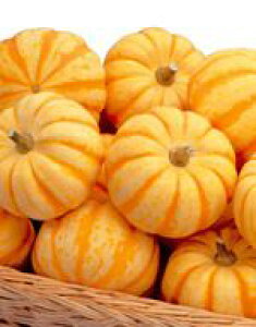 ~jJ{`q TJ^̃^l vb`[j 100