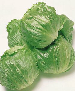 ^Xq ^LCc VXR 20ml ^X