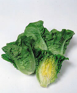 ~j^Xq ^LCc }mA  ~j^X