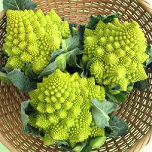 Jt[q nӔ_ XpC }lXR 1000@q