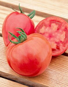 g}gq TJ^̃^l lbTX 1000