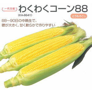 Ƃ낱q JlRc 킭킭R[88 2000
