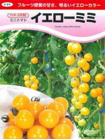 ミニトマト種子 カネコ種苗 イエローミミ 小袋