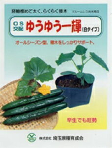 LEؗpq ʌ琬 䂤䂤P ^Cv 350 u[XؗpqpZ