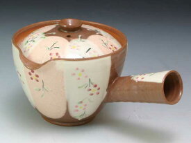 京焼・清水焼　急須　DKH210　花いろ(はないろ)　急須