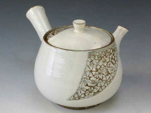 āEā@}{@DSC206@lG؁@}{yz