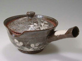 京焼・清水焼　急須　DSH192　萩がさね　急須