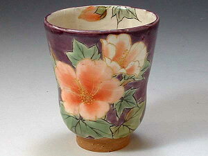 āEā@ہ@KTA255@hu@ꃖہyz