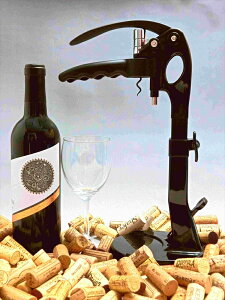  CI[vi[ o[CI[vi[ X^h^o[CI[vi[