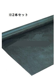 2{Zbg f| Uo[ hV[g@240G O[  2m×30m@2{