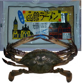 楽天市場 生き た ワタリガニの通販 楽天市場 生き た ワタリガニの通販