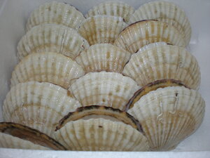 yzLtz^e@咆3Ll@kCY @ysmtb-TKzysmtb-tkzykz @ yyMt_zyyMt_̂z yyMt_̂z yRCPz yfsp2124z Marathon10P02feb13@10P05Sep15