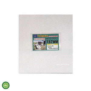 c nCp[t[ 757WM ECOA[p t[n I[bN/