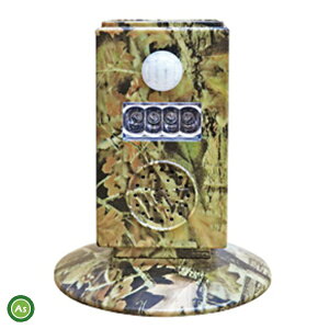 aR[|[V x24W[5 (SP-55)