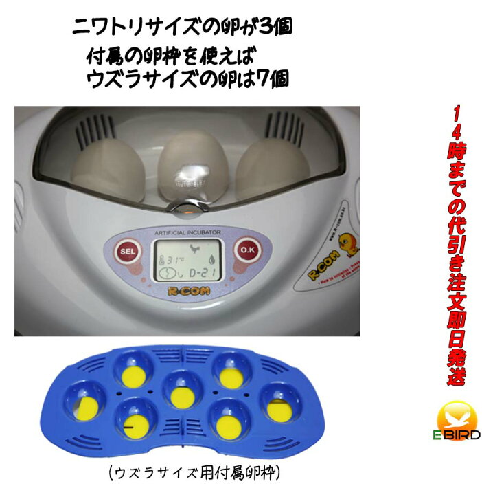 楽天市場】リトルママ 小型自動孵卵器(ふ卵器・ふ卵機) : eバード楽天  
