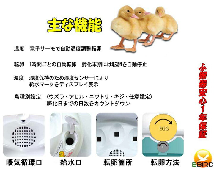 楽天市場】リトルママ 小型自動孵卵器(ふ卵器・ふ卵機) : eバード楽天  