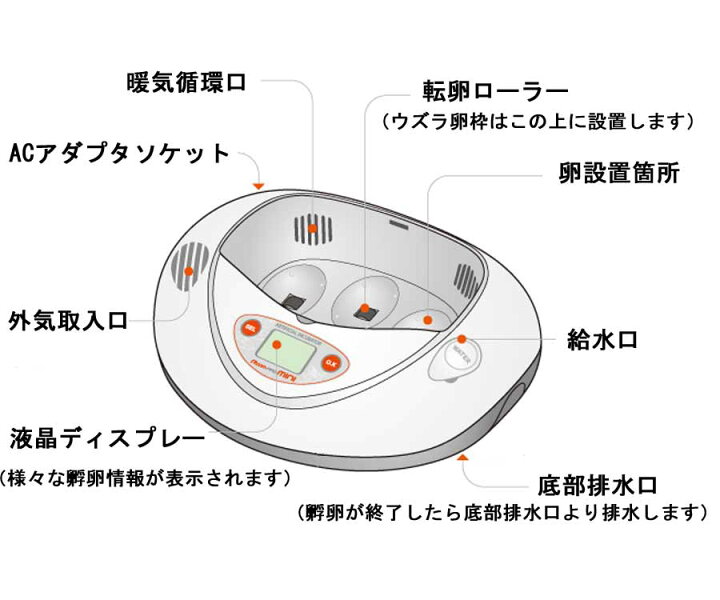 楽天市場】リトルママ 小型自動孵卵器(ふ卵器・ふ卵機) : eバード楽天 