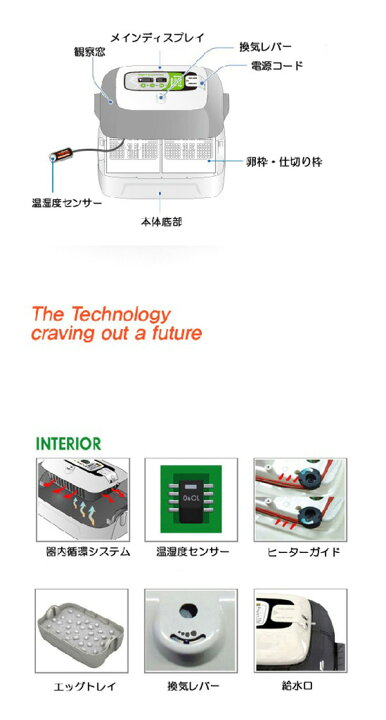楽天市場】爬虫類用孵卵器(ふ卵器・ふ卵機)ジュラゴンRX レプタイル 