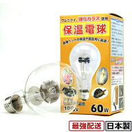アサヒ ヒヨコ保温電球 硬質ガラス 60W