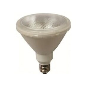 ^HƁ@r[^LEDd 100W@dF@E26 r[px30x@LDR9L100W-T2