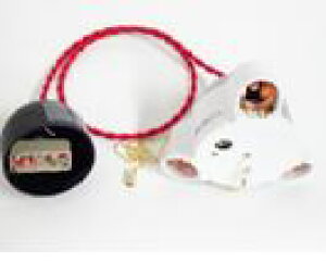 ^HƁ@|V[O@R[ht\Pbg@3dʔ@CKR-3W