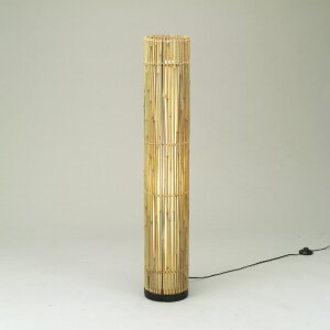 y[J[݌Ɍizy@llz^HƁ@@atAX^h@WDLTO-76Z