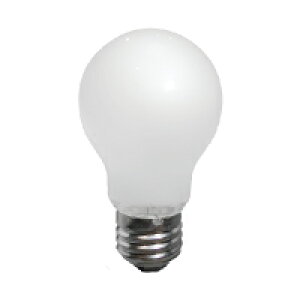 �y�@�l�l����z���m���C�e�b�N�@�ϐk�z���C�g�����v�@E26����TAI110V100WW/TC/25P�y25���z