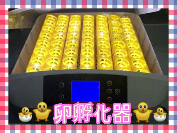 楽天市場】マイコン式鳥類専用自動転卵式 孵化器 ふ化器 孵卵器 ふ卵器 
