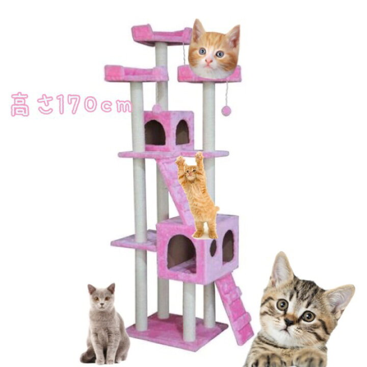楽天市場】キャットタワー 猫タワー ワイド170cm カラー3色 オフ 