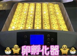楽天市場】マイコン式鳥類専用自動転卵式 孵化器 ふ化器 孵卵器 ふ卵器 