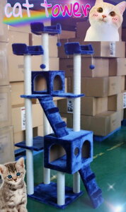 Lbg^[ L^[ Ch170cm J[5F@u^ Vi