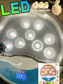 LED自動孵卵器 インキュベーター 検卵ライト内蔵　鳥類専用ふ卵器 孵化器 9個　子供教育用 家庭用　360度照射で転卵不要