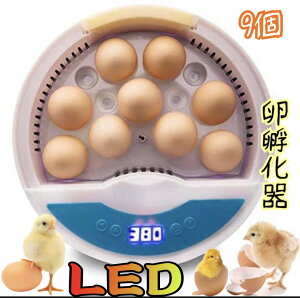 鳥 小動物用ペットグッズ ふ卵器 その他鳥 小動物用ペットグッズの人気商品 通販 価格比較 価格 Com