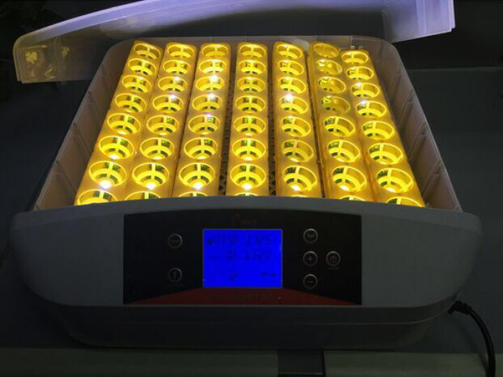 楽天市場】送料込み！最大56個 全自動孵卵器 孵卵機 ふ卵器 孵化器 